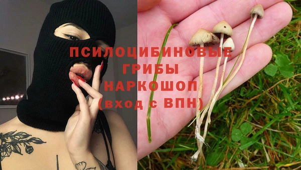 ПСИЛОЦИБИНОВЫЕ ГРИБЫ Алексин