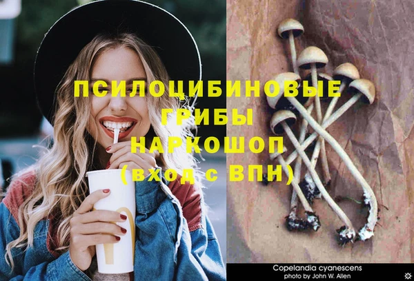твердый Алзамай