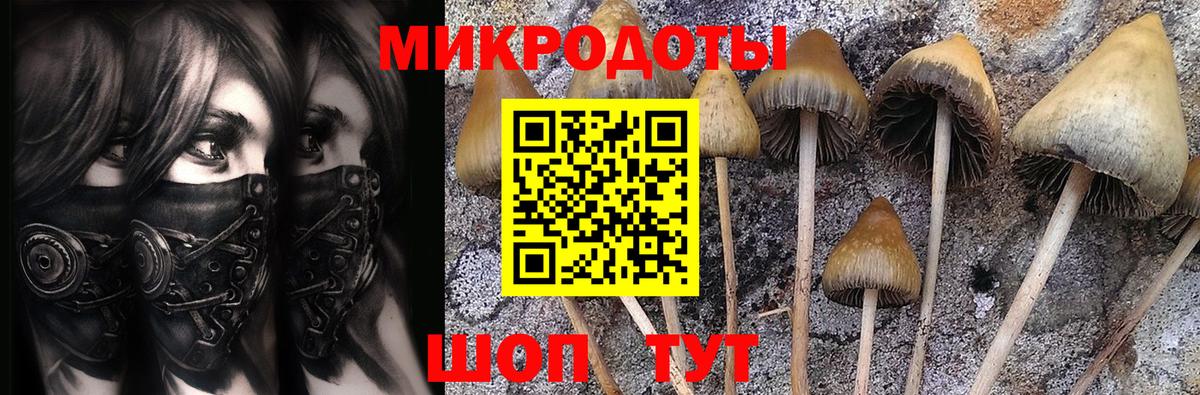 Галлюциногенные грибы Psilocybine cubensis  Галлюциногенные грибы Psilocybe  наркотики  Вход с VPN  Ялта 